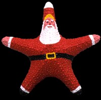 Jumbo Starfish Santa - Click For Larger View