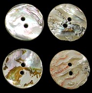 Natural Abalone Buttons - Click For Larger View
