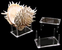 Four Prong Stand Med. - Click For Larger View