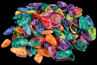 Dyed Coquinas - Click For Larger View