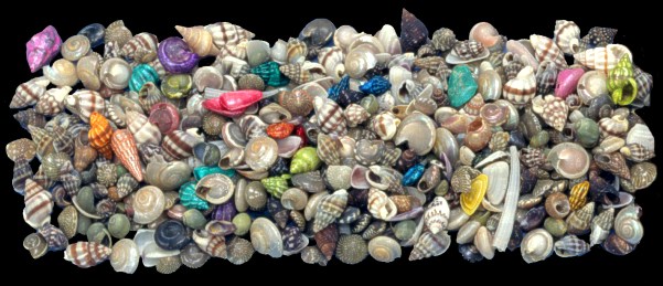 Indian Ocean Mix (Tiny Mix) - Click For Larger View