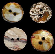 Brown Abalone Buttons - Click For Larger View