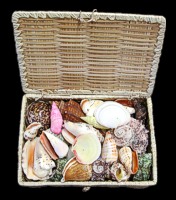 Sewing Box Shell Pack - Click For Larger View
