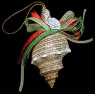 Shell Ornament 11 - Click For Larger View