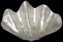 Capiz Clam Dish - Click For Larger View