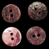 Grape Abalone Buttons - Click For Larger View