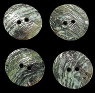 Green Abalone Buttons - Click For Larger View