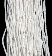 White Clam strands  - Click For Larger View