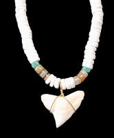 Shark tooth necklace 5 - Click For Larger View
