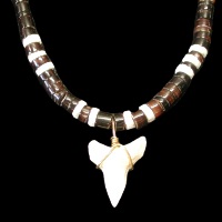 Shark tooth necklace 17 - Click For Larger View
