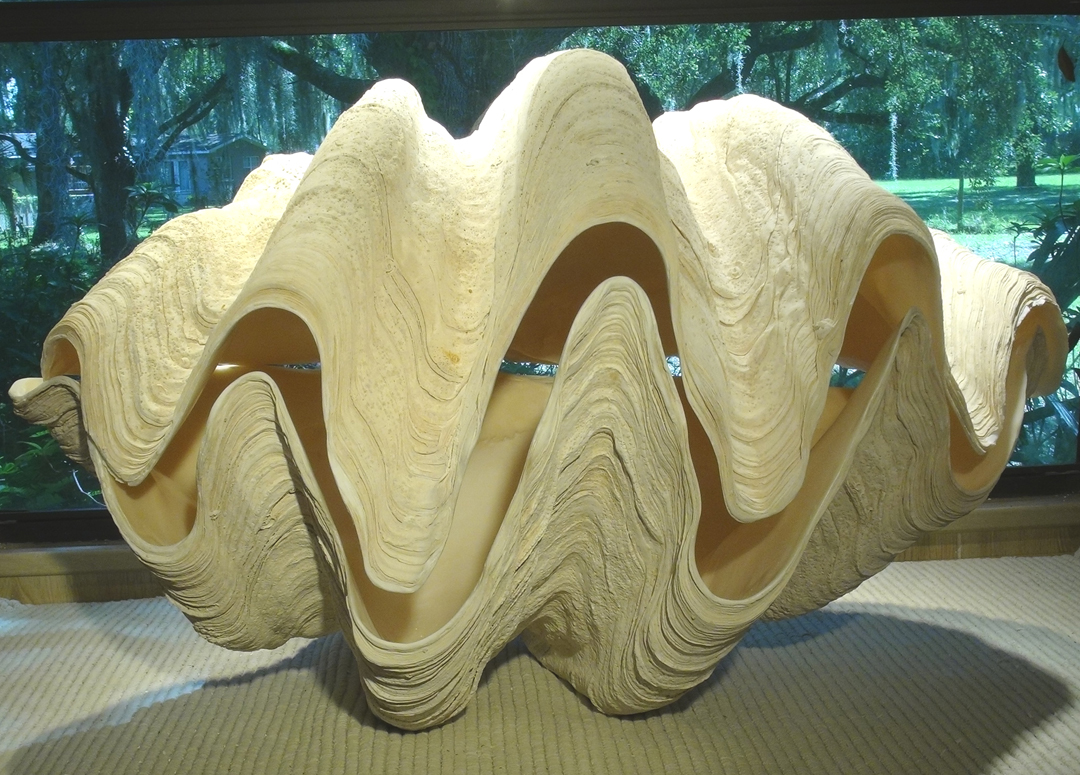 massive clam