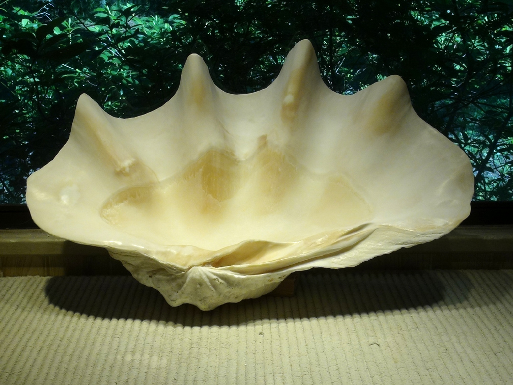 big clam shell