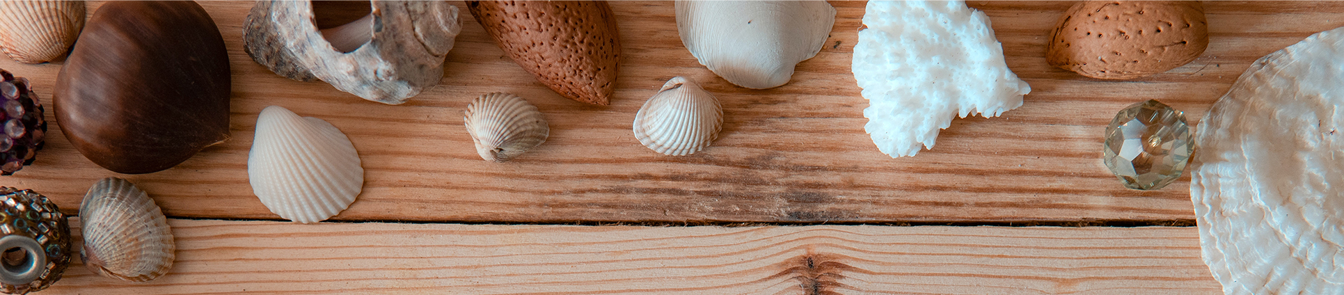 Craft-Shells_banner